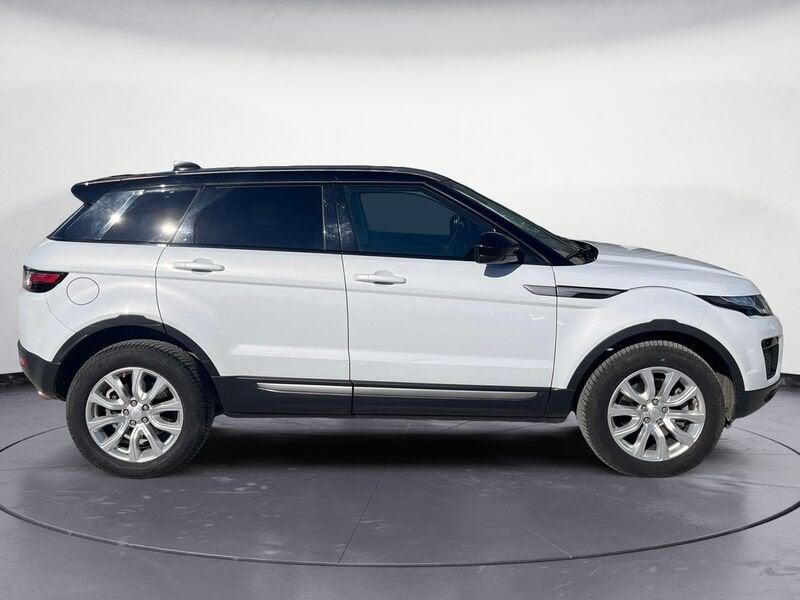 Land Rover RR Evoque Range Rover Evoque 5 Porte 2.0 TD4 150cv Pure Busi Evoque 5 Porte 2.0 TD4 150cv Pure Business auto