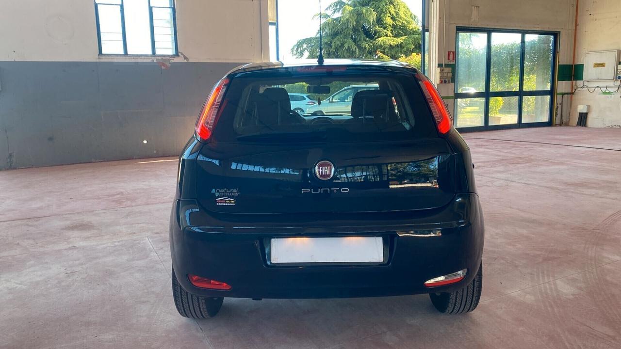 Fiat Punto 1.4 8V 5 porte Natural Power Street