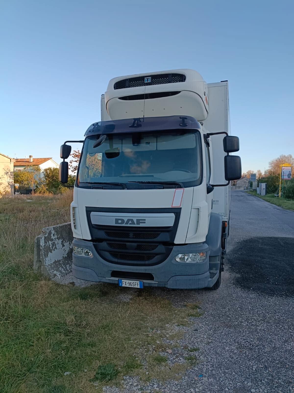 Autocarro Daf LF 55.310 18 tonnellate frigo 2016