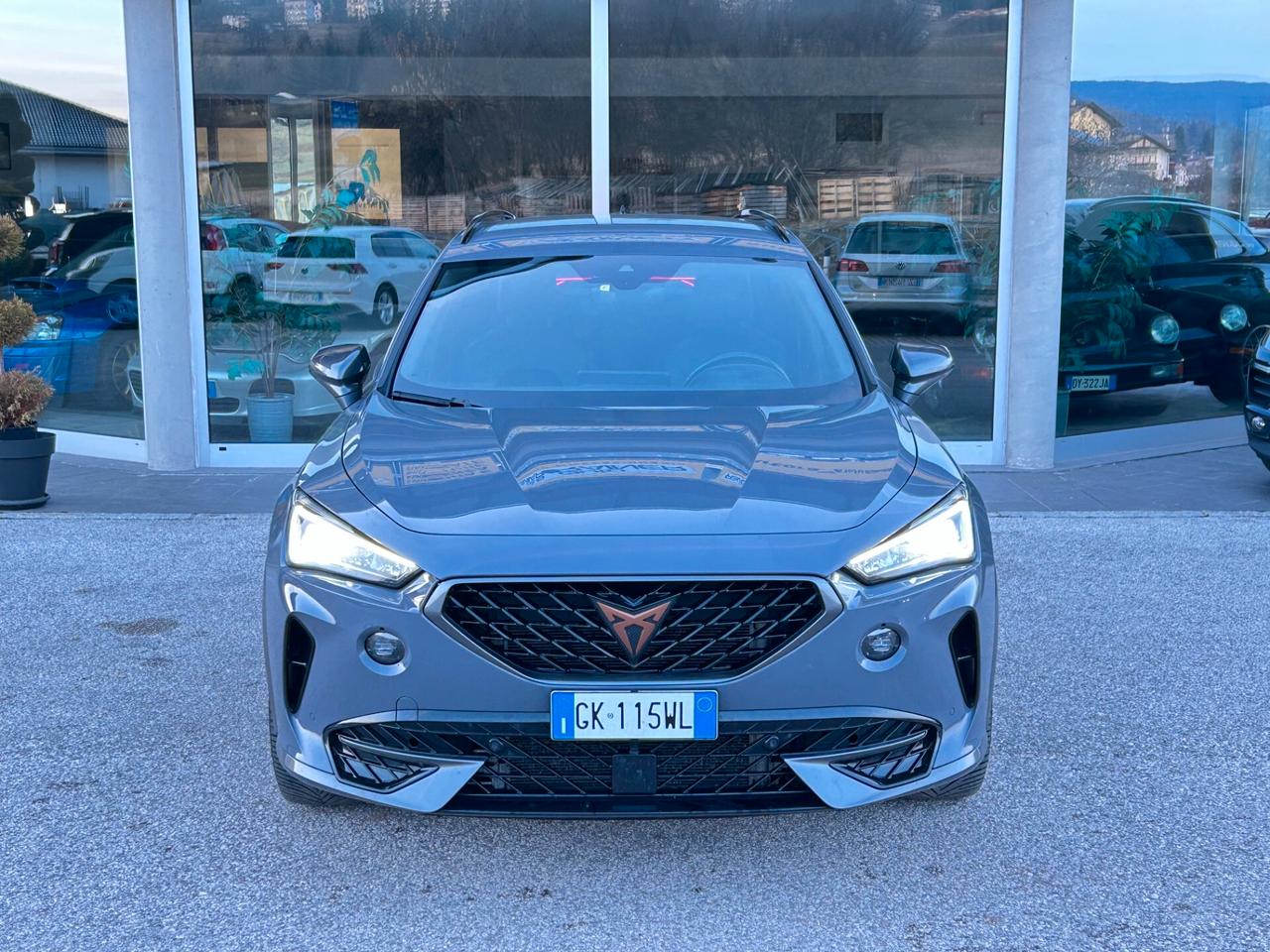 Cupra Formentor 2.0 TDI 4Drive DSG 4x4