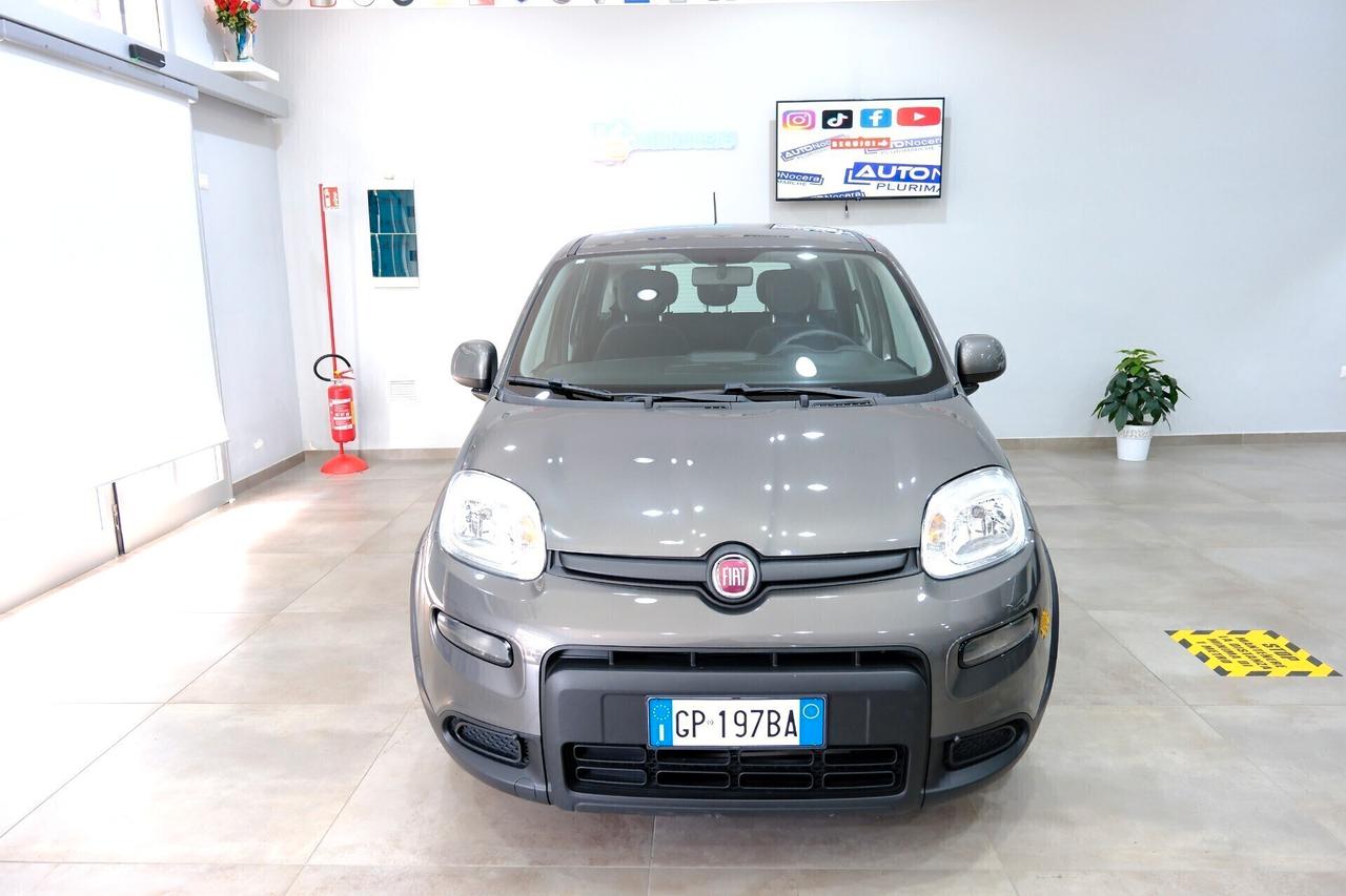 Fiat Panda Hybrid 1000 70cv City Life