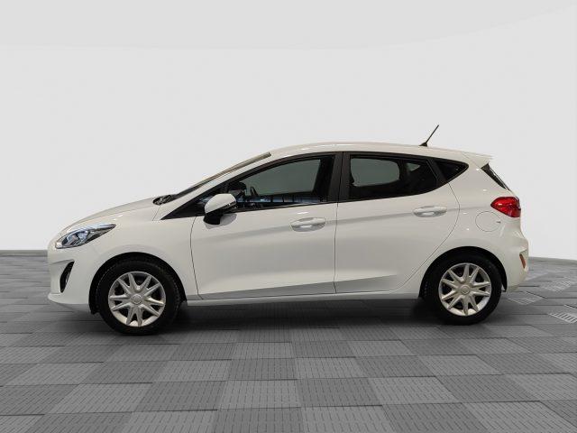 FORD Fiesta Fiesta 1.1 75 CV GPL 5 porte Plus / Business