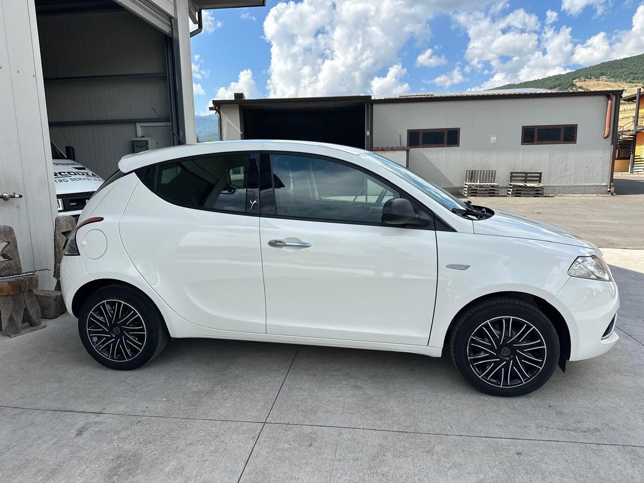 Lancia Ypsilon 1.2 69 CV 5 porte Platinum