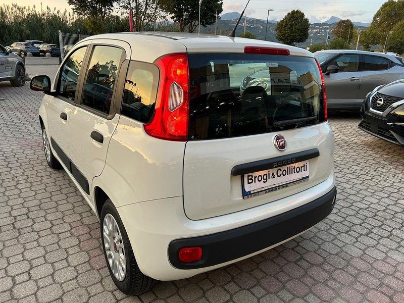 FIAT Panda 1.2 69cv Young