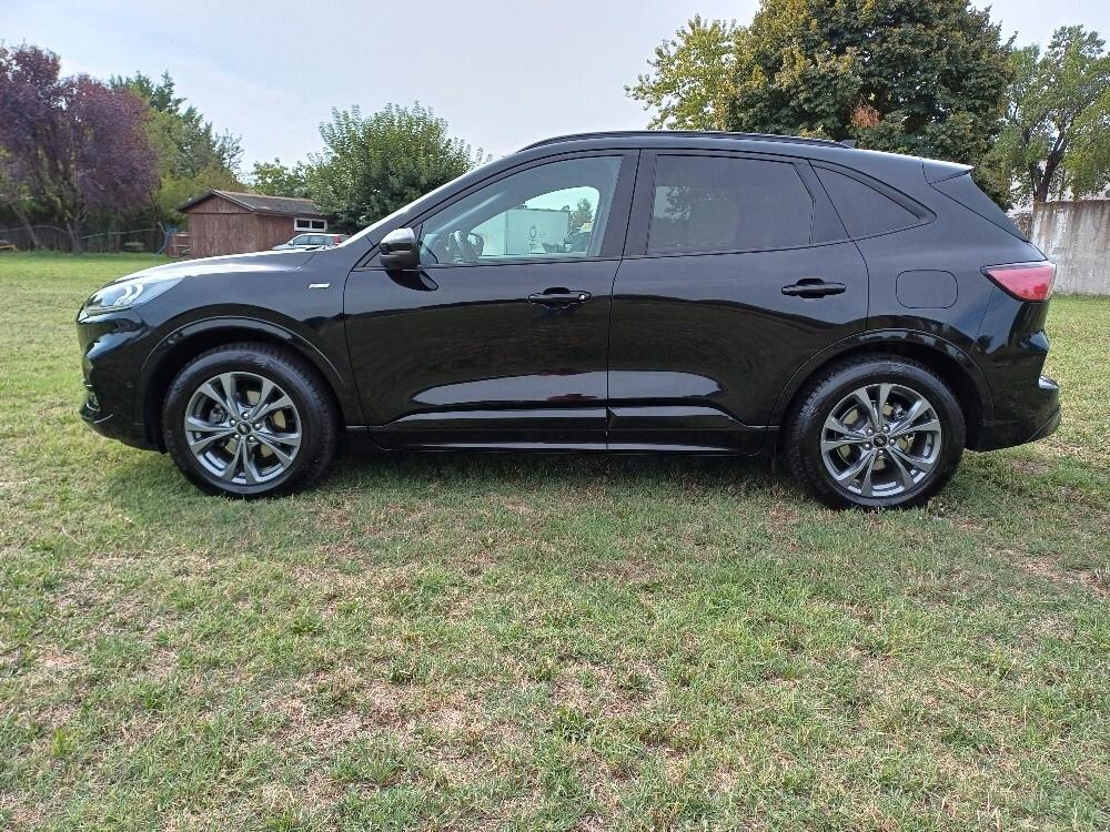 Ford Kuga 1.5 EcoBoost 150 CV ST-Line Km 55.000