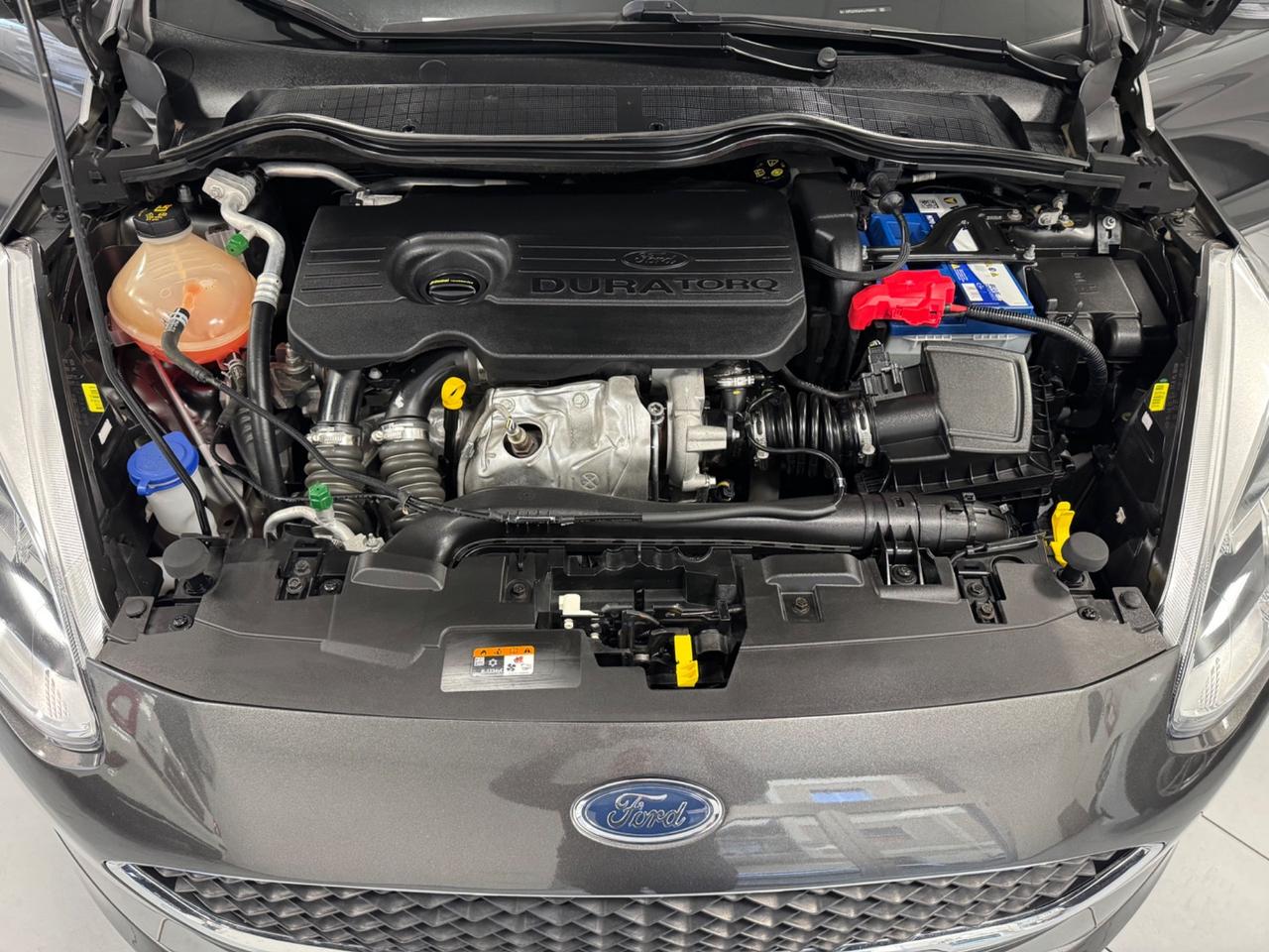 Ford Fiesta 1.5 TDCi 5 porte Plus