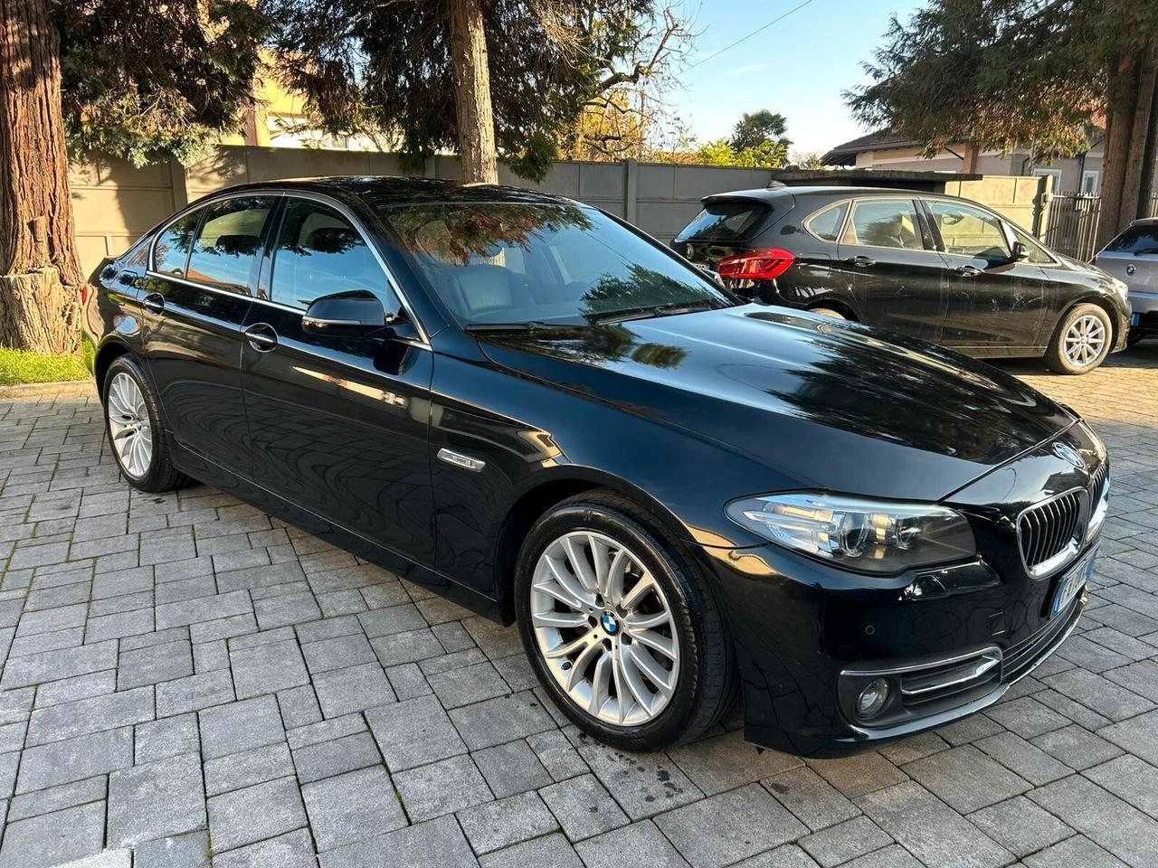 Bmw 520 520d Luxury