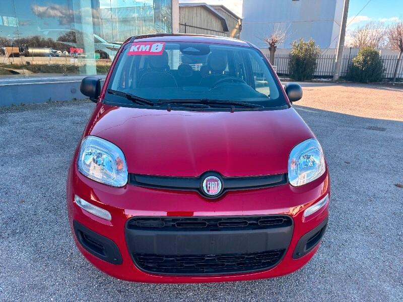 FIAT Panda 3ª serie Panda 1.0 FireFly S&S Hybrid