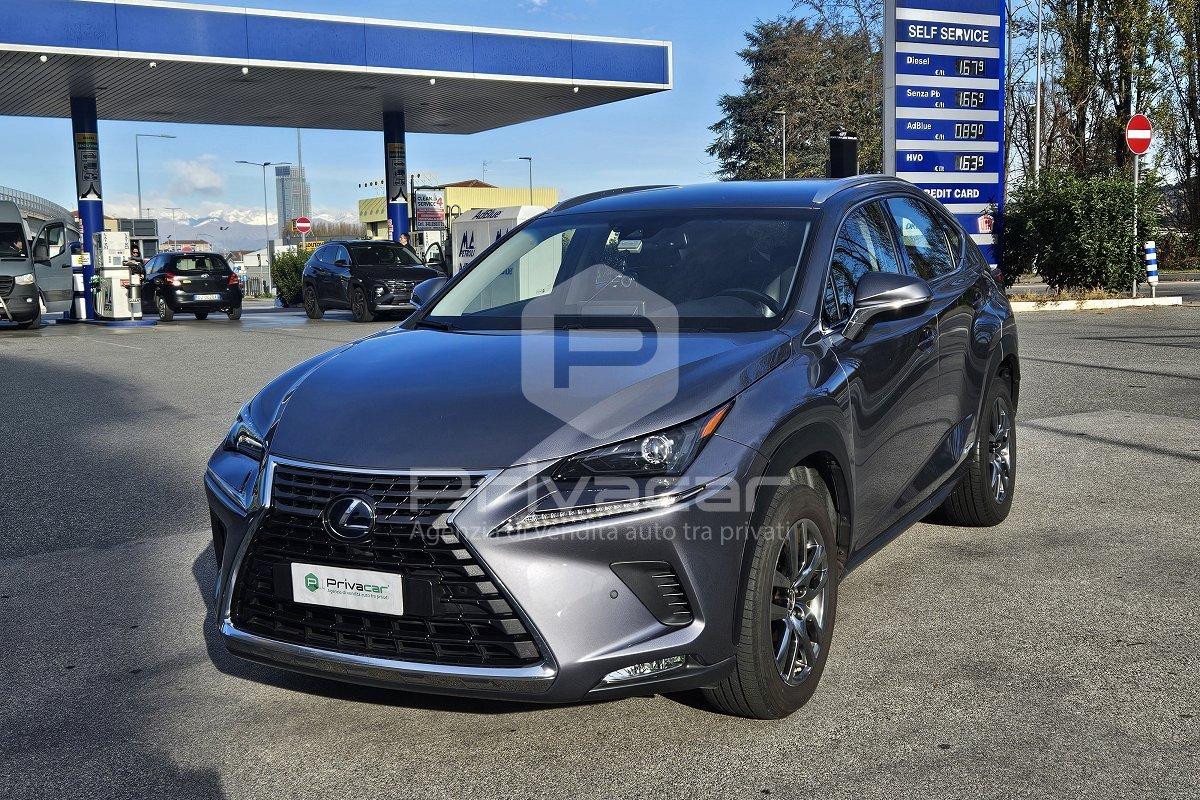 LEXUS NX Hybrid 4WD Business