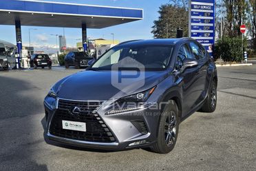 LEXUS NX Hybrid 4WD Business