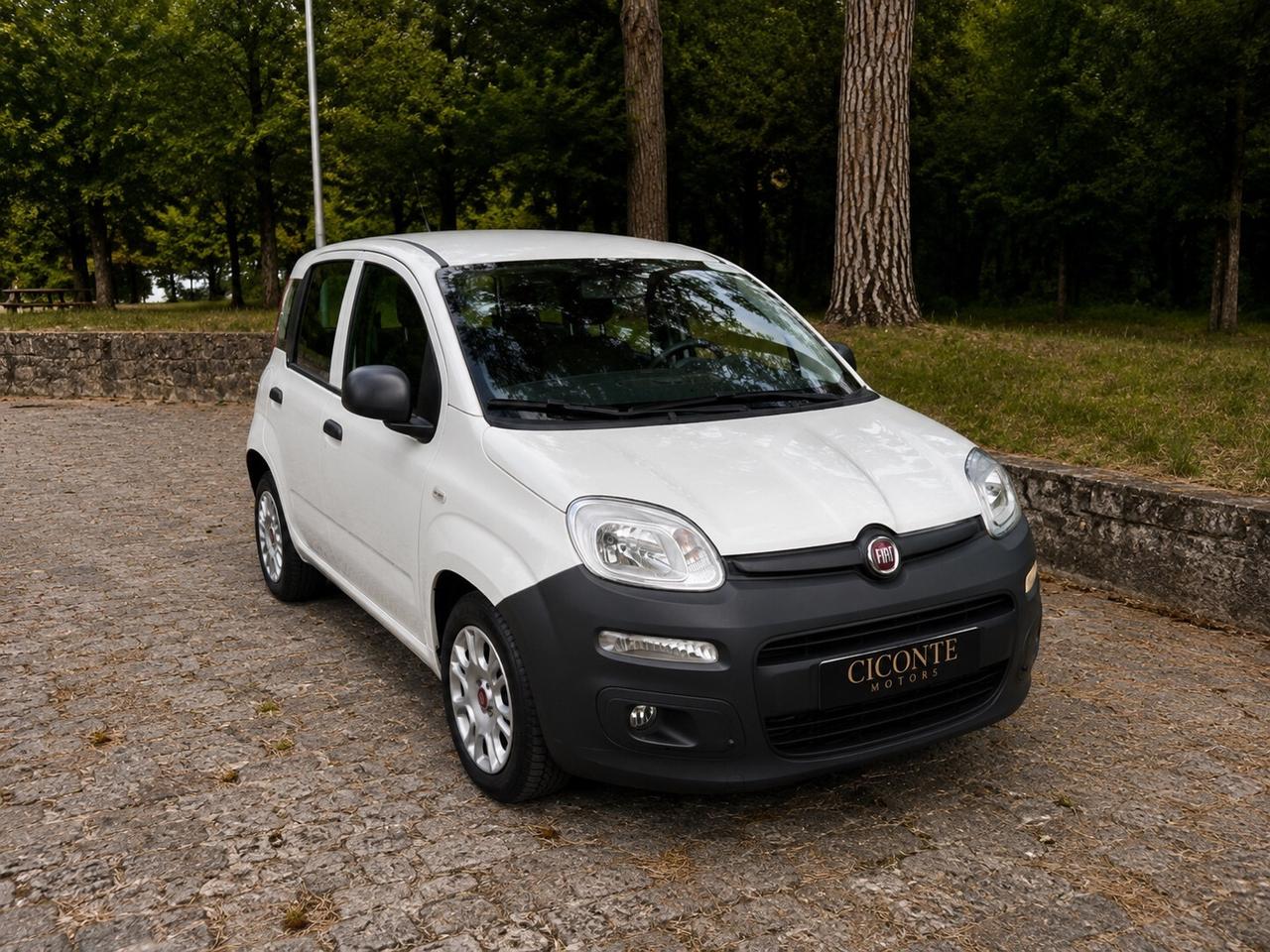 Fiat Panda van