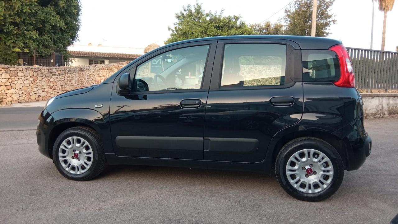 Fiat Panda 1.2 Lounge 69cv