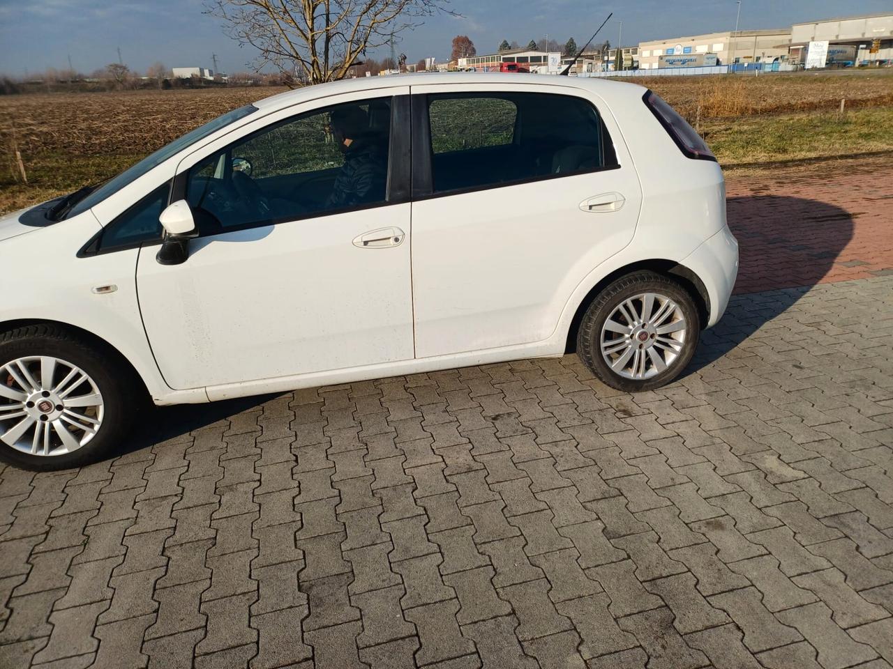 Fiat Punto Evo 1.3 Mjt 75 CV DPF 5 porte S&S Dynamic