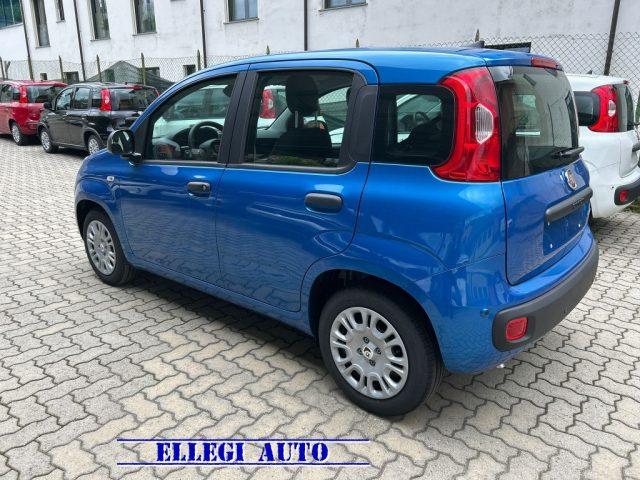 FIAT Panda PROMO FINANZIAMENTO 1.0 Hybrid Icon KM 0