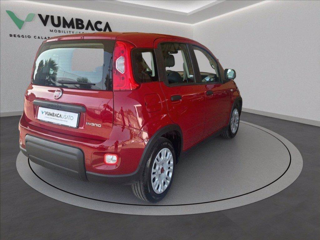 FIAT Pandina 1.0 firefly hybrid Icon s&s 70cv del 2024