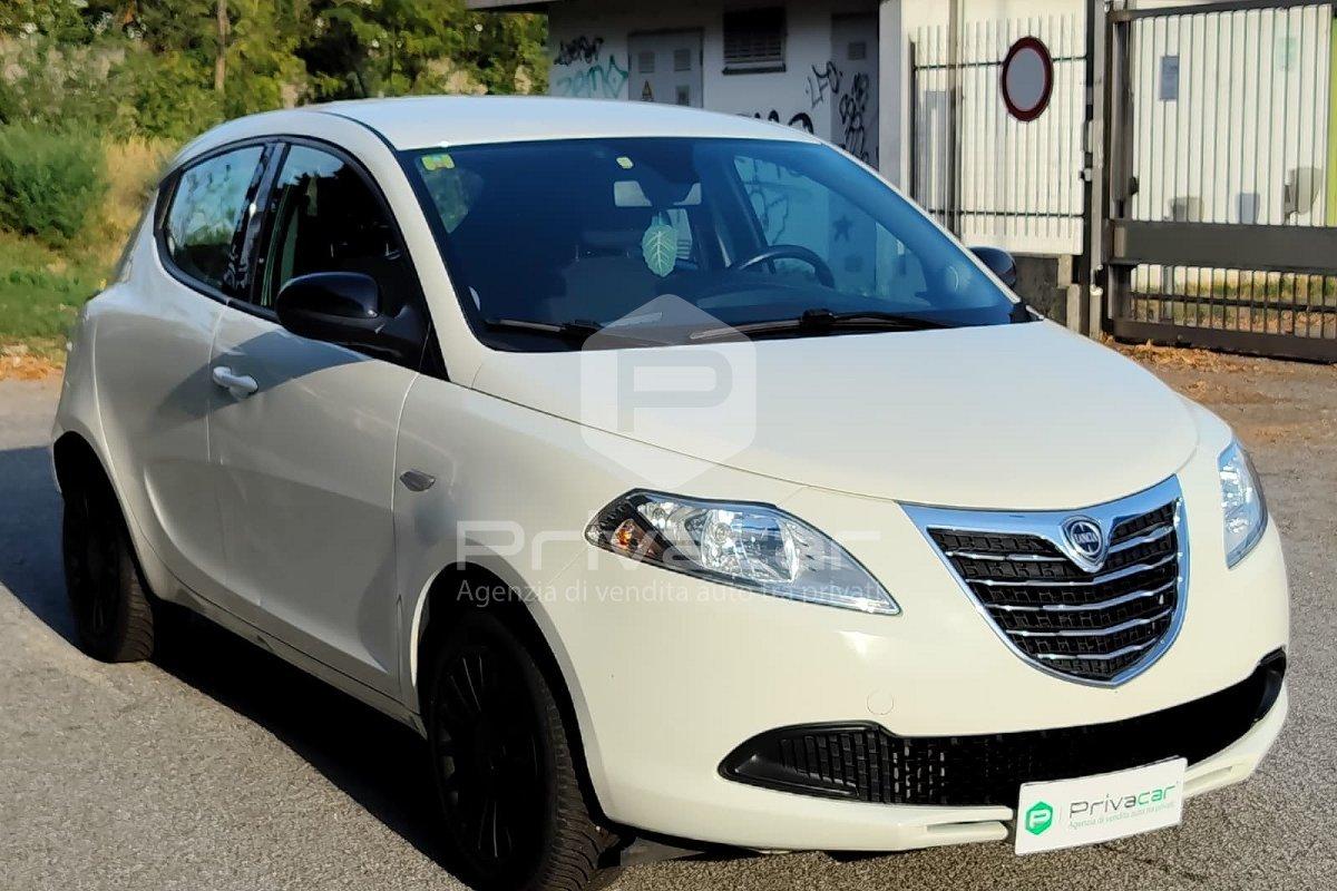 LANCIA Ypsilon 1.2 69 CV 5 porte Elefantino