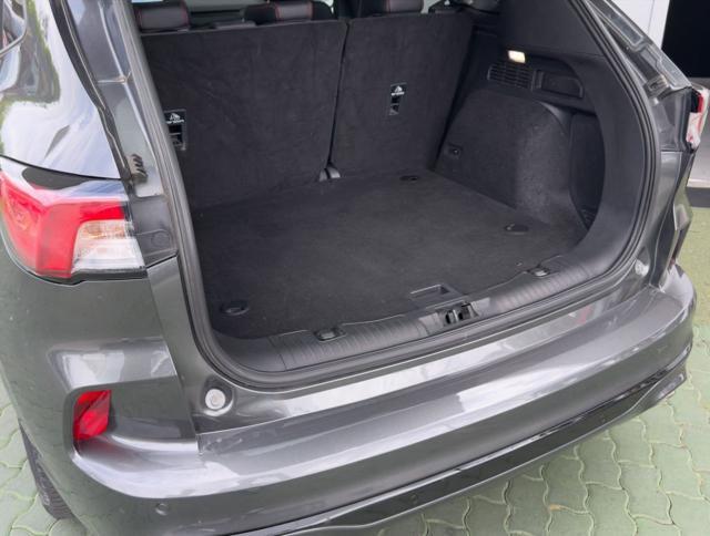 FORD Kuga 1.5 EcoBlue 120 CV aut. 2WD ST-Line X