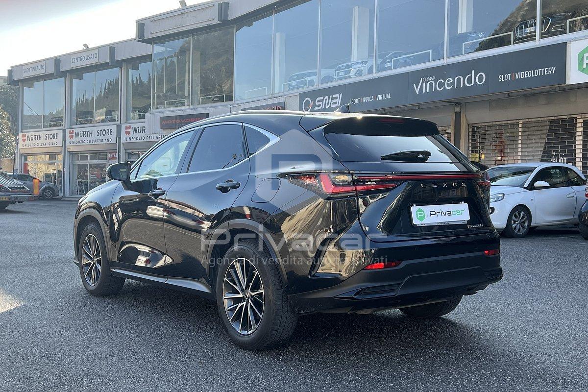 LEXUS NX Plug-in 4WD Premium +