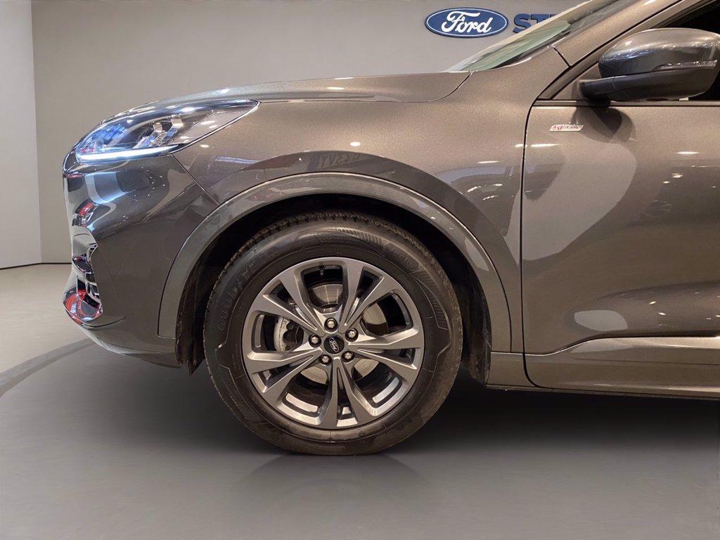 FORD Kuga 2.0 ecoblue ST-Line 2wd 120cv auto del 2024