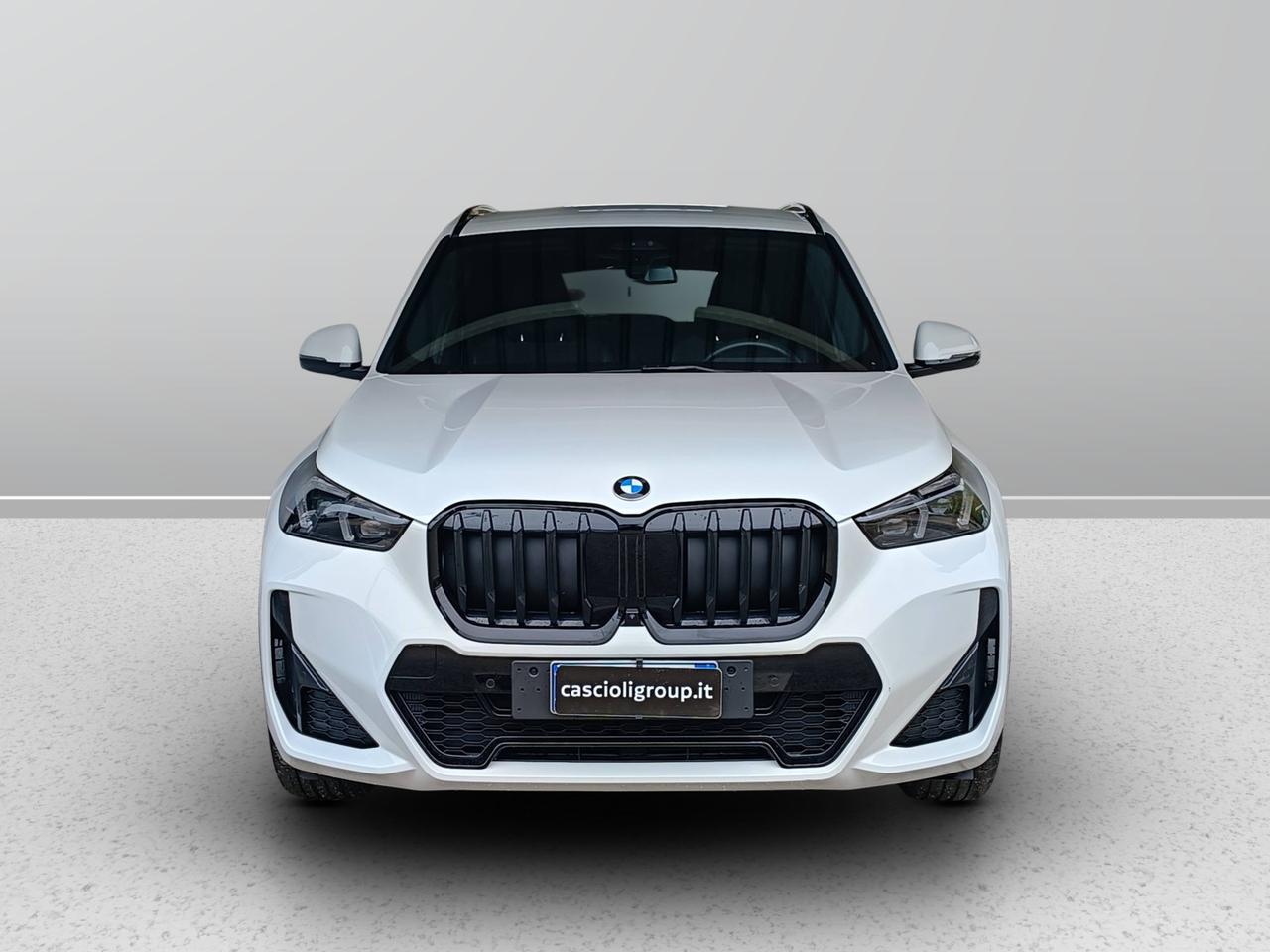 BMW X1 U11 - X1 xdrive20d mhev 48V MSport Pro auto