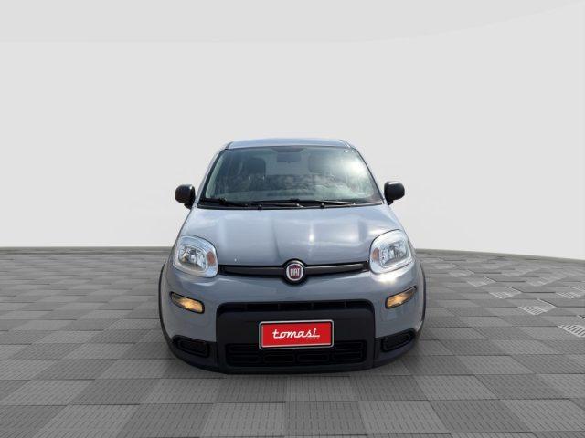 FIAT Panda Panda 1.0 FireFly Hybrid City Life