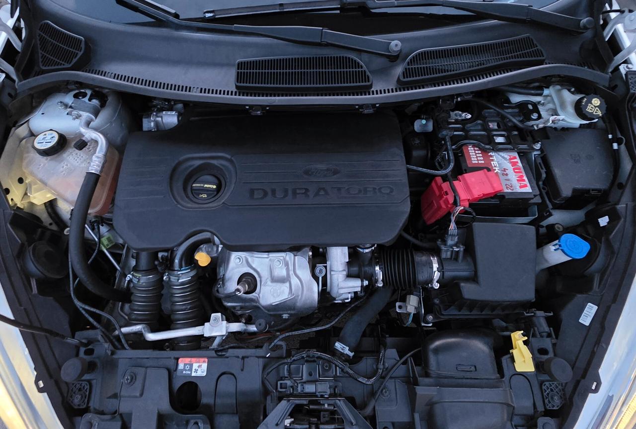 Ford Fiesta 1.5 TDCi 95CV 5 porte Titanium