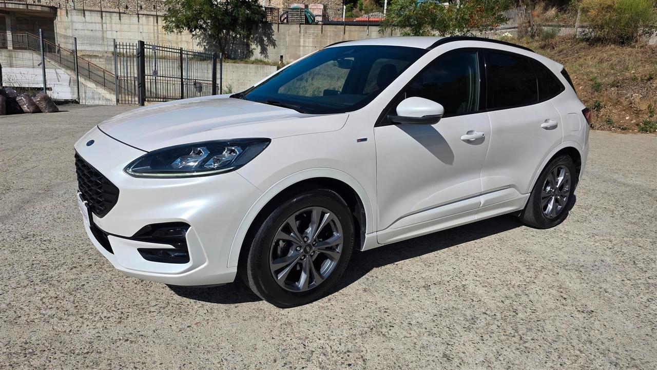 Ford Kuga 1.5 EcoBlue 120 CV aut. 2WD ST-Line X