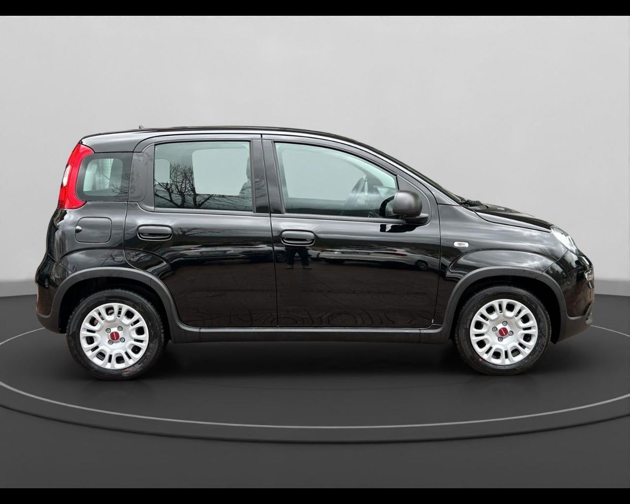 FIAT Panda III 2021 - Panda 1.0 firefly hybrid s&s 70cv