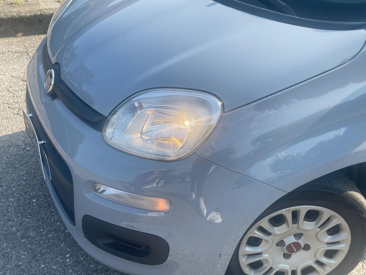 Fiat Panda Easy 1.2 EasyPower #11781