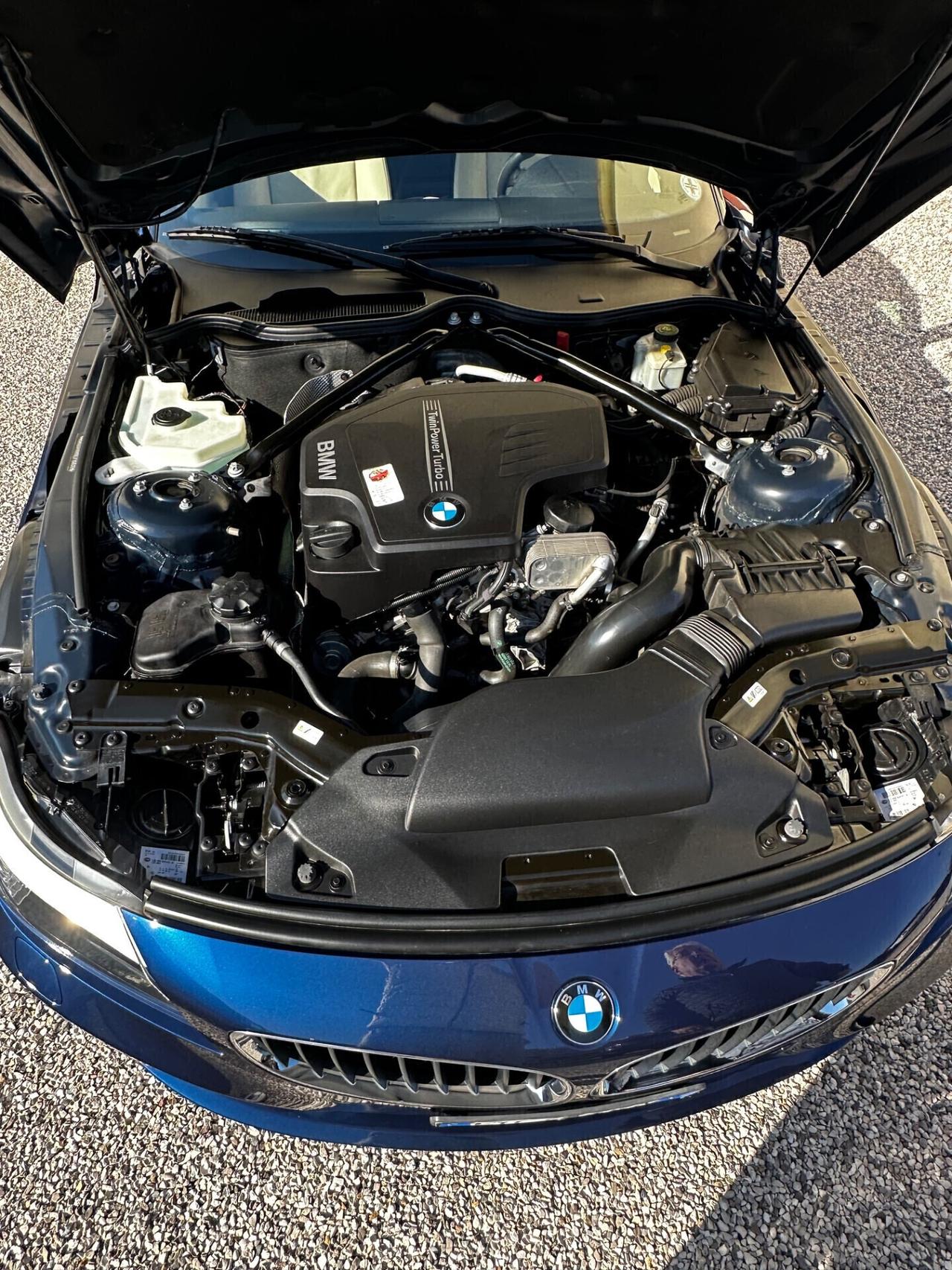 Bmw Z4 sDrive20i 245cv