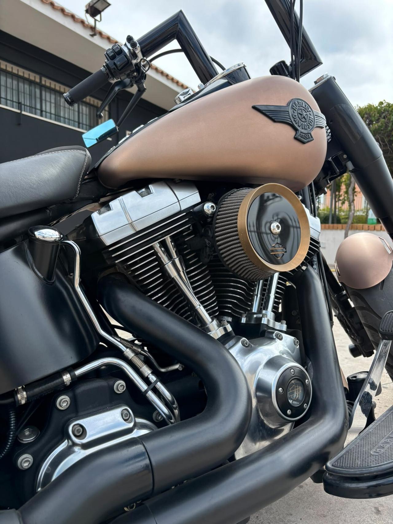 Harley-davidson Fat Boy