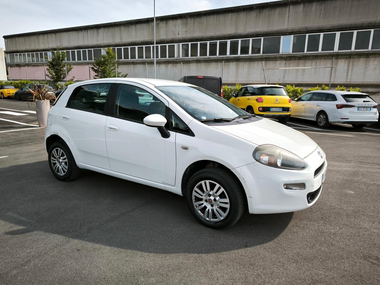 Fiat Punto 1.4 8V 5 porte Natural Power Lounge