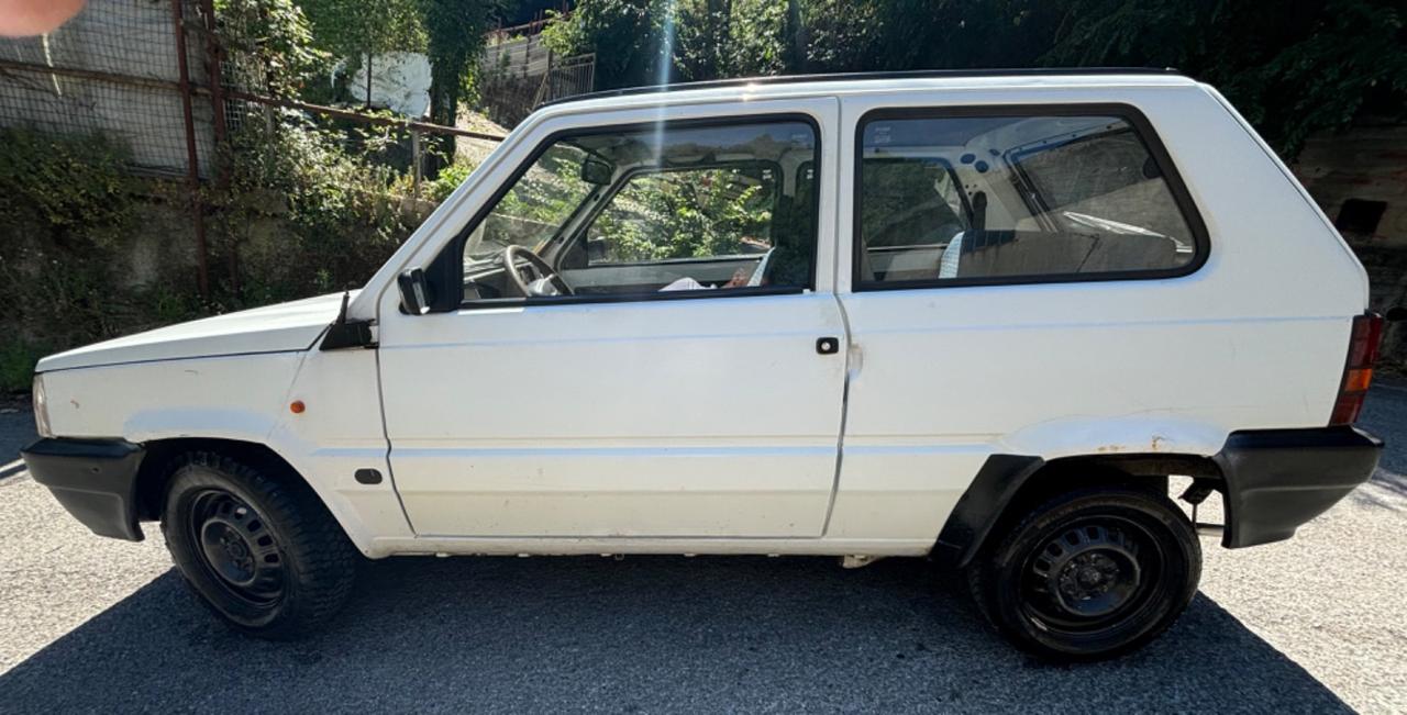 Fiat Panda 900 i.e. cat Young