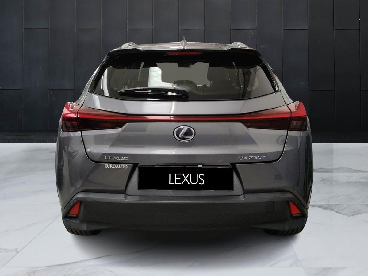 LEXUS UX - UX Hybrid Executive