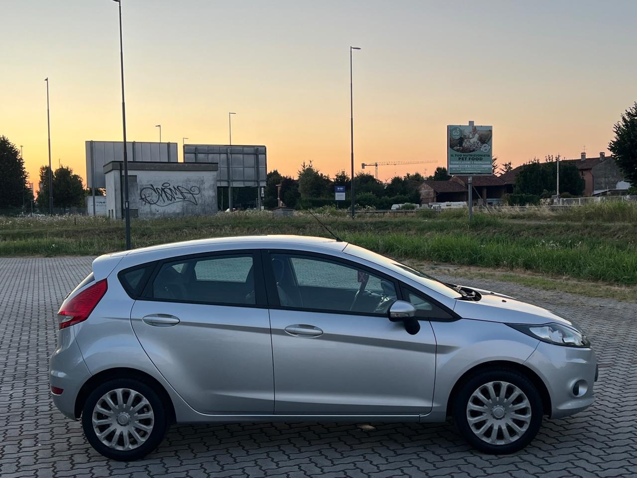 Ford Fiesta 1.4 TDCi 68CV 5 porte Titanium