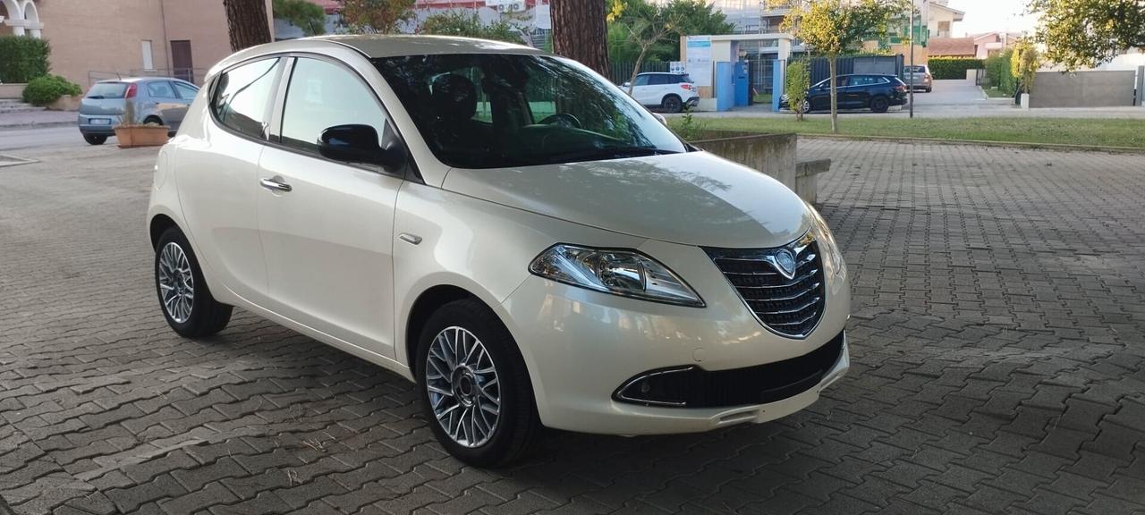 Lancia Ypsilon 1.2 69 CV 5 porte S&S Platinum