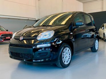 Fiat Panda 1.0 FireFly S&S Hybrid *PREZZO PROMO*