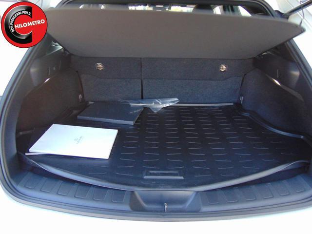 LEXUS UX 250h UX Hybrid Business