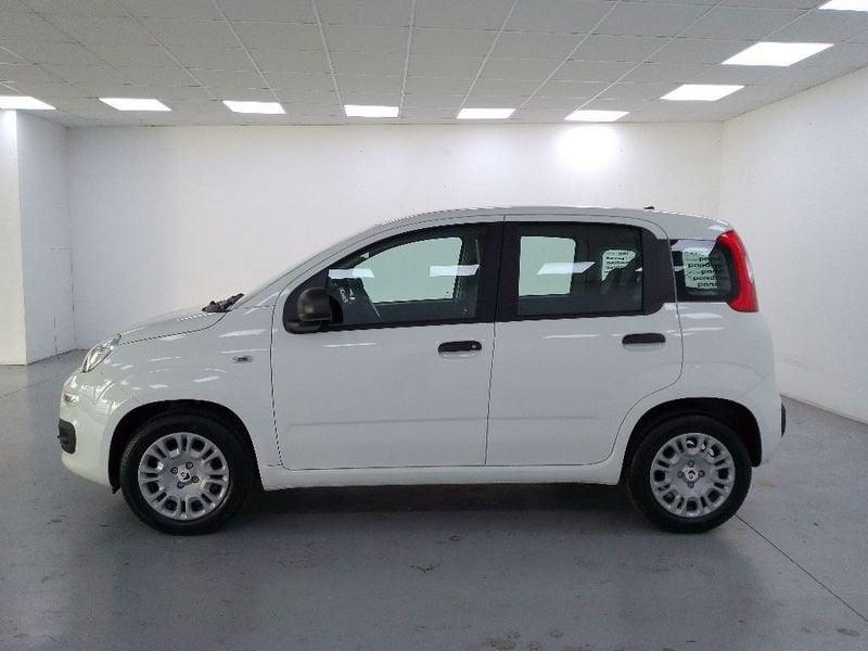 FIAT Pandina 1.0 firefly hybrid Icon s e s 70cv 5p.ti