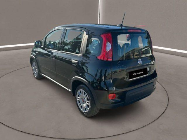 FIAT Panda 3ª serie - 1.0 FireFly S&S Hybrid