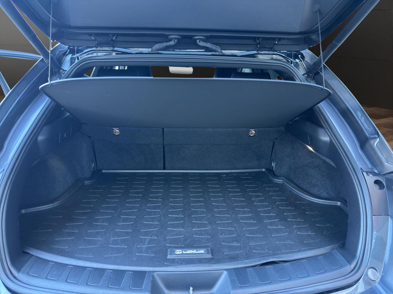 Lexus UX 250h 2.0 Flare - F Sport 2wd cvt