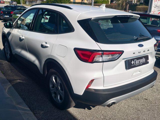 FORD Kuga 1.5 EcoBlue 120 CV 2WD Titanium Business