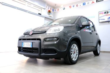 Fiat Panda Hybrid 1000 70cv City Life