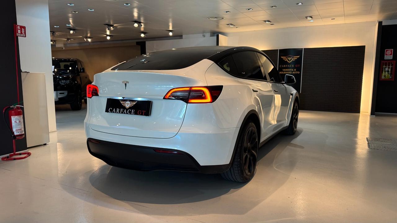 TESLA MODEL Y RWD 120CV - 2024