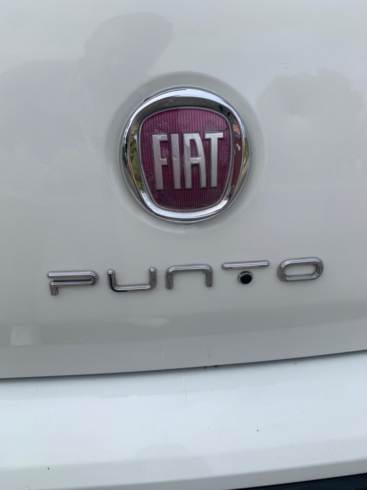 Fiat Punto Evo Punto Evo 1.3 Mjt 75 CV 5 porte S&S Dynamic