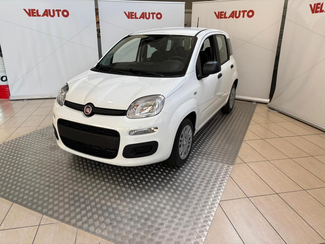 Fiat Panda Fiat Panda 1.0 FireFly S&S Hybrid