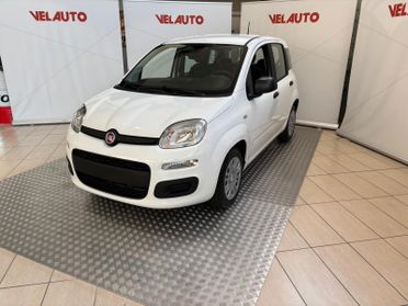 Fiat Panda Fiat Panda 1.0 FireFly S&S Hybrid