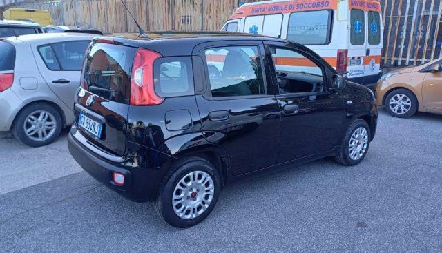 FIAT Panda 1.2 Trussardi