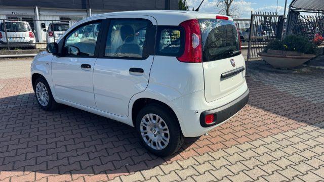 FIAT Pandina 1.0 FireFly Hybrid 65cv POP KMO