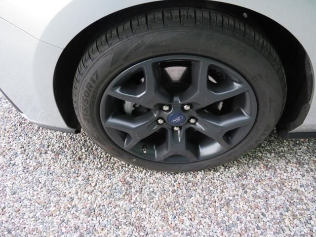 FORD Focus 1.5 EcoBlue 120 CV automatico SW Business Co-Pilot